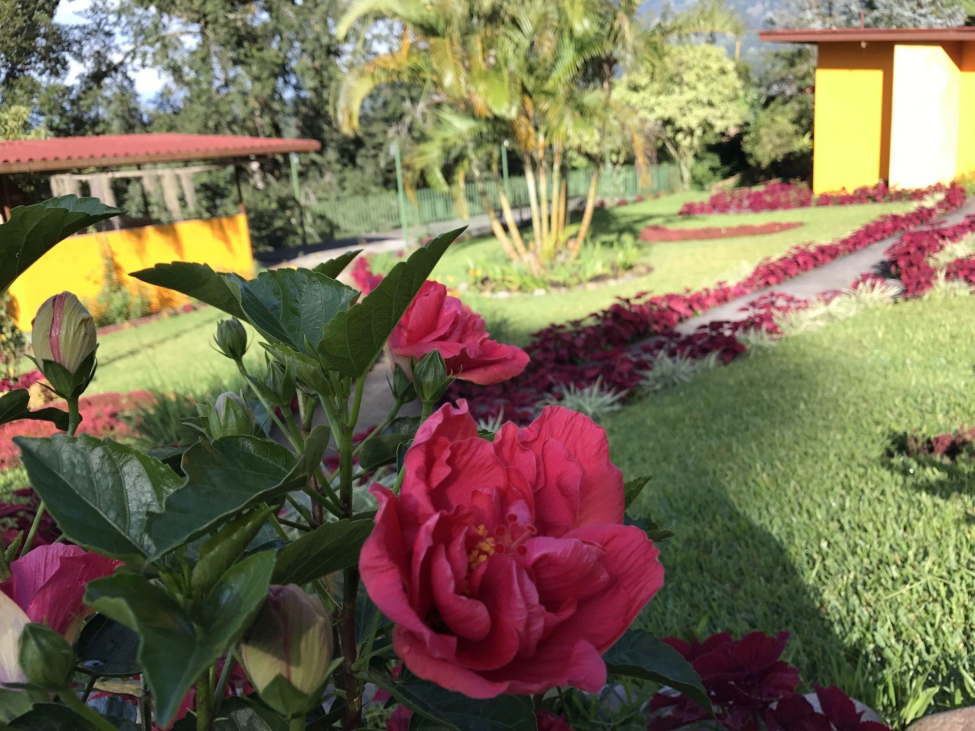 Santuario Lodge Agro-Hotel Boquete Dış mekan fotoğraf