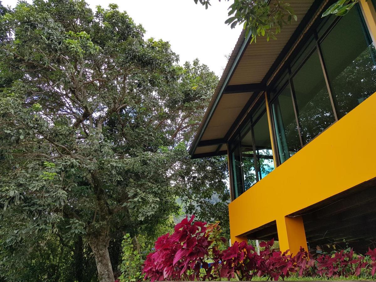 Santuario Lodge Agro-Hotel Boquete Dış mekan fotoğraf